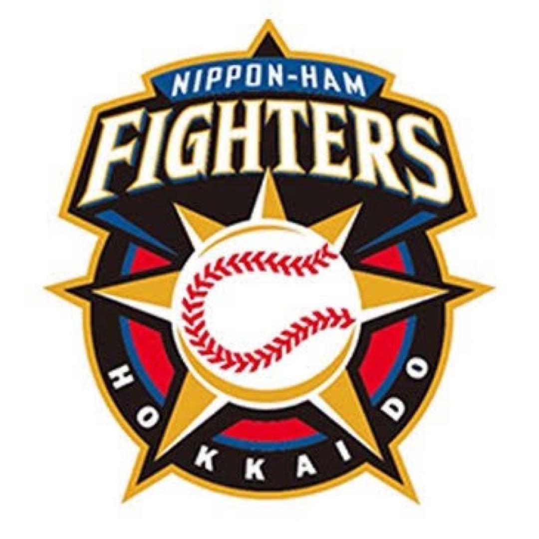 九ちゃんさん専用 かみちゃん専用 Z/X -Zillions of enemy X- タオルケット「玖珠美甘