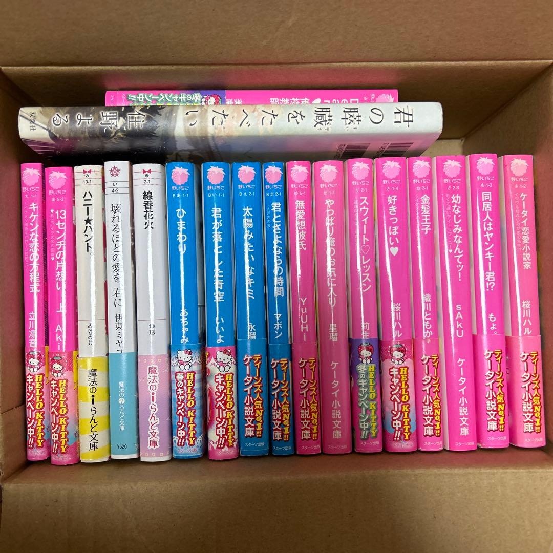携帯小説 野いちご文庫 ケータイ小説 まとめ売り - メルカリ