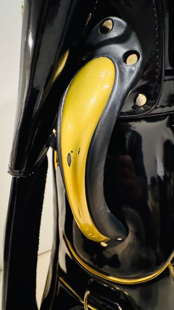 DynamicGoldツアーイシュー キャディバッグ に2種類のヘッドカバー付