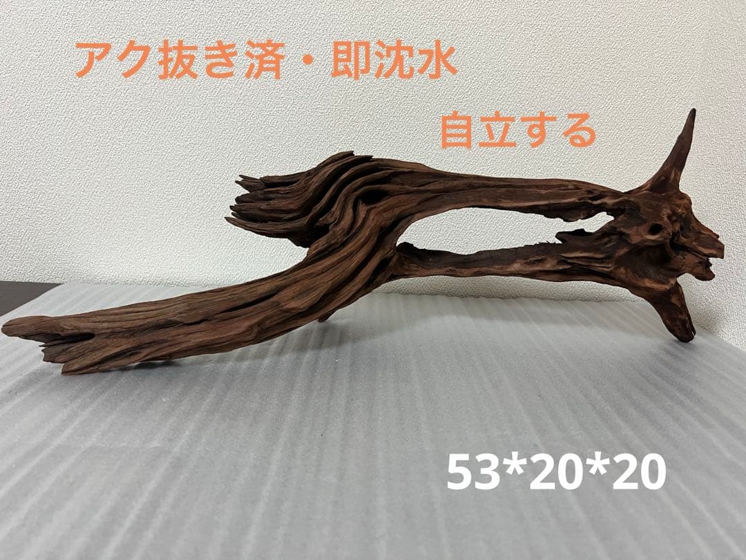 HX-081 流木 ホーンウッド マシンガンウッド アクアリウム ブランチ