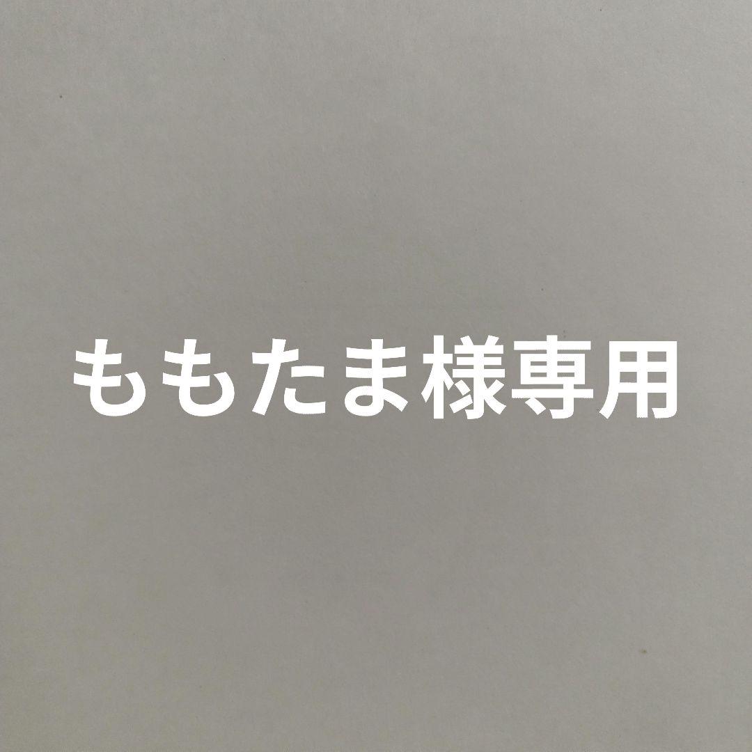限定品　HAWAII　スヌーピー サーフィン キーホルダー　 セット　ぬいぐるみ 限定品 HAWAII スヌーピー サーフィン キーホルダー セット ぬいぐるみ