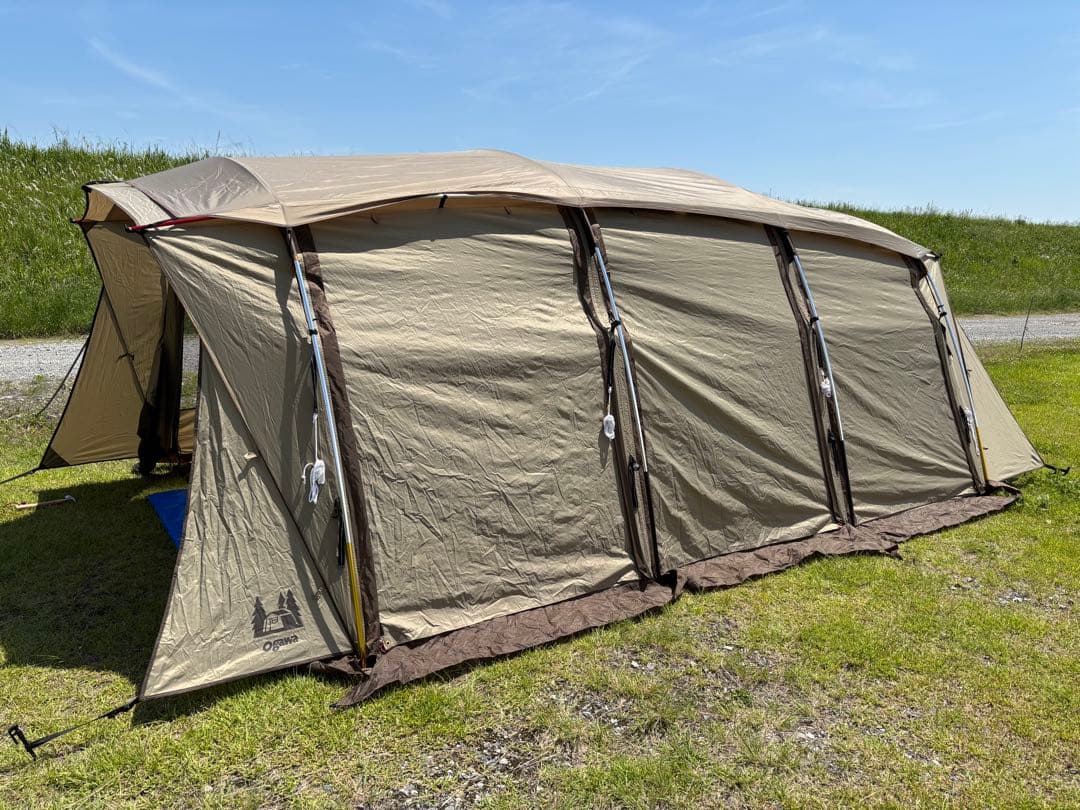 直接引き取り希望】オガワ アポロン