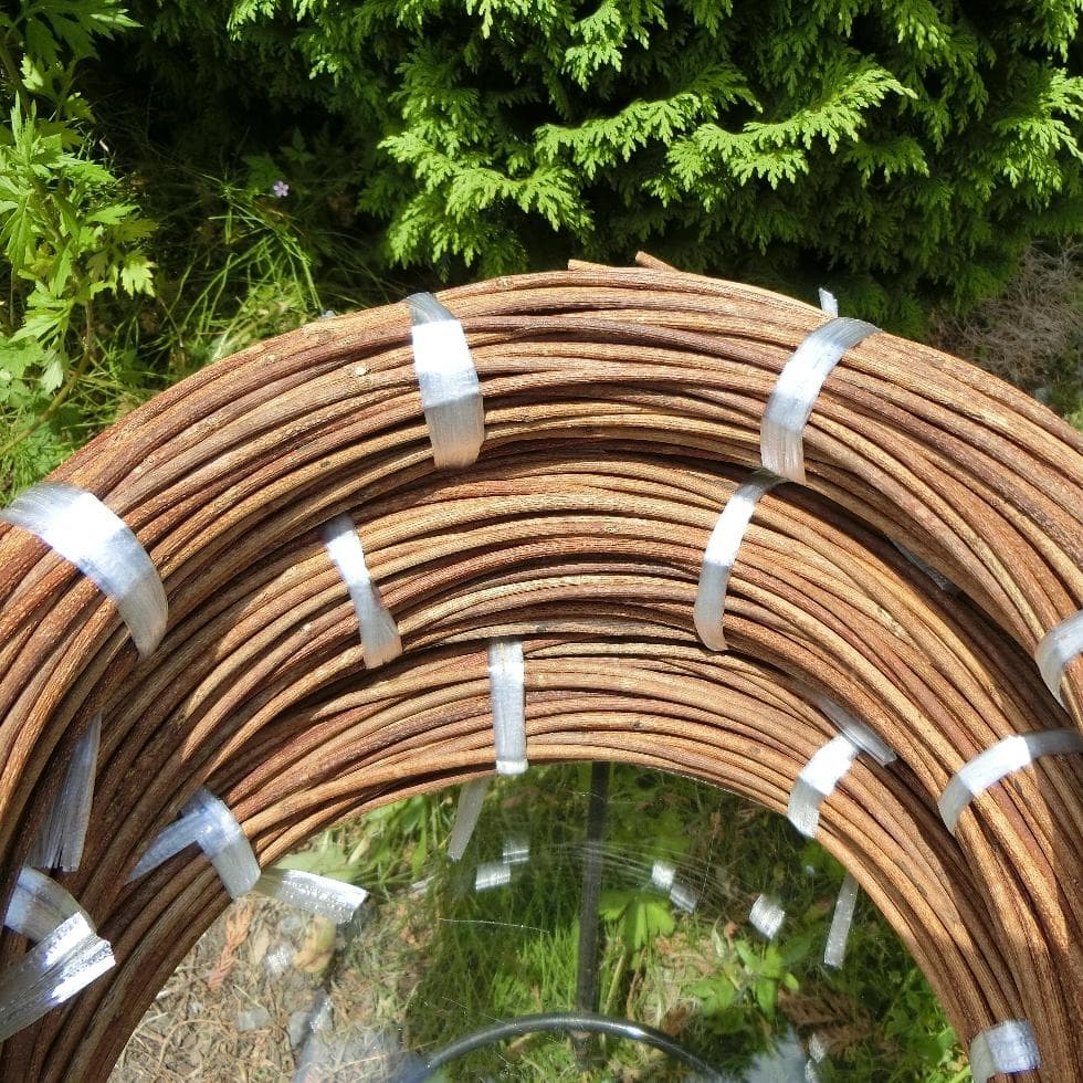 なつ（╹◡╹）♡様専用 青森県岩木山採取 あけび蔓 150cm～ 3kg