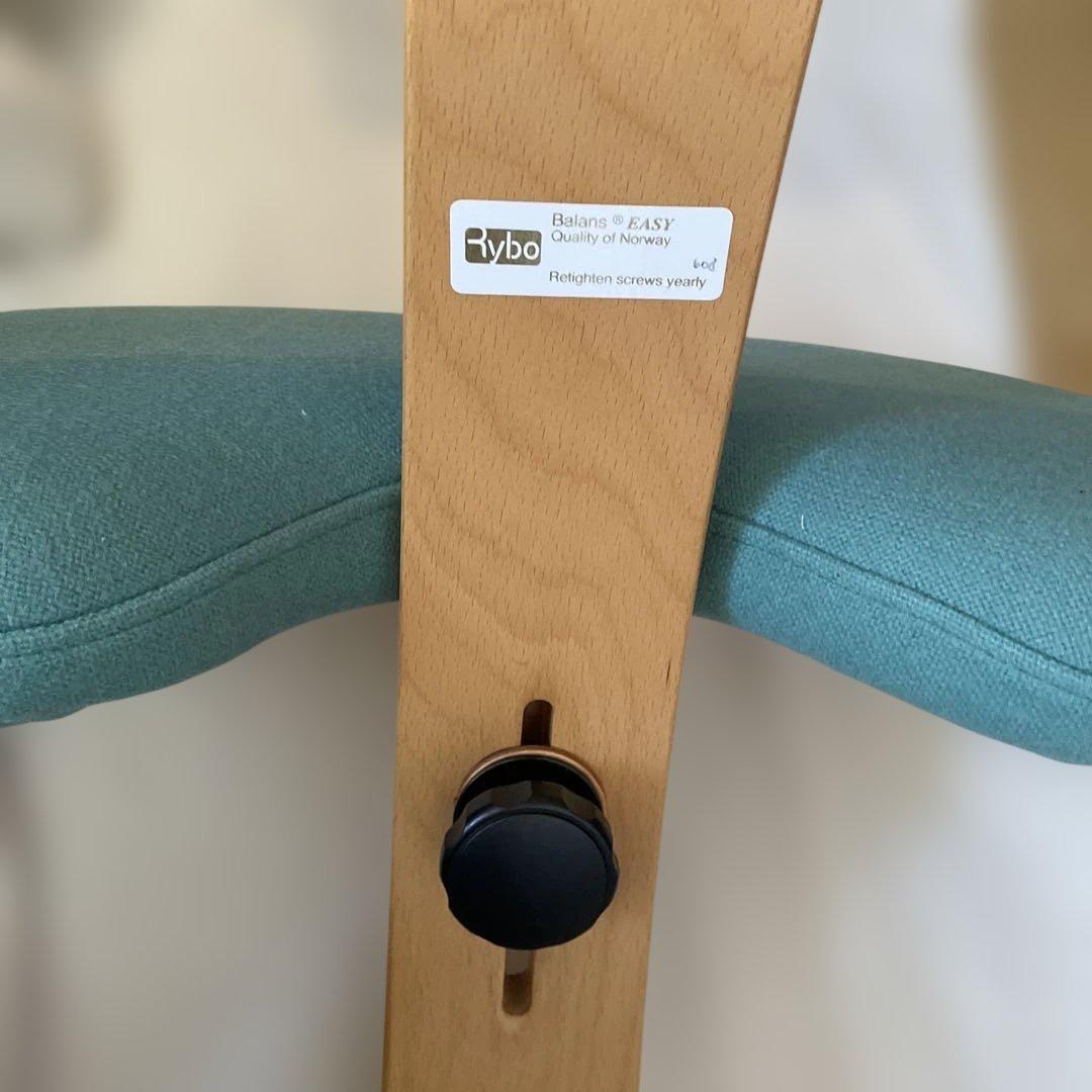 RYBO balancEAZYバランスチェア姿勢矯正ミントグリーン専用カバー付き