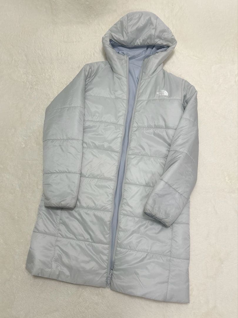 貝標本 カタツムリの化石 扁平型の肩が張った特美品個体