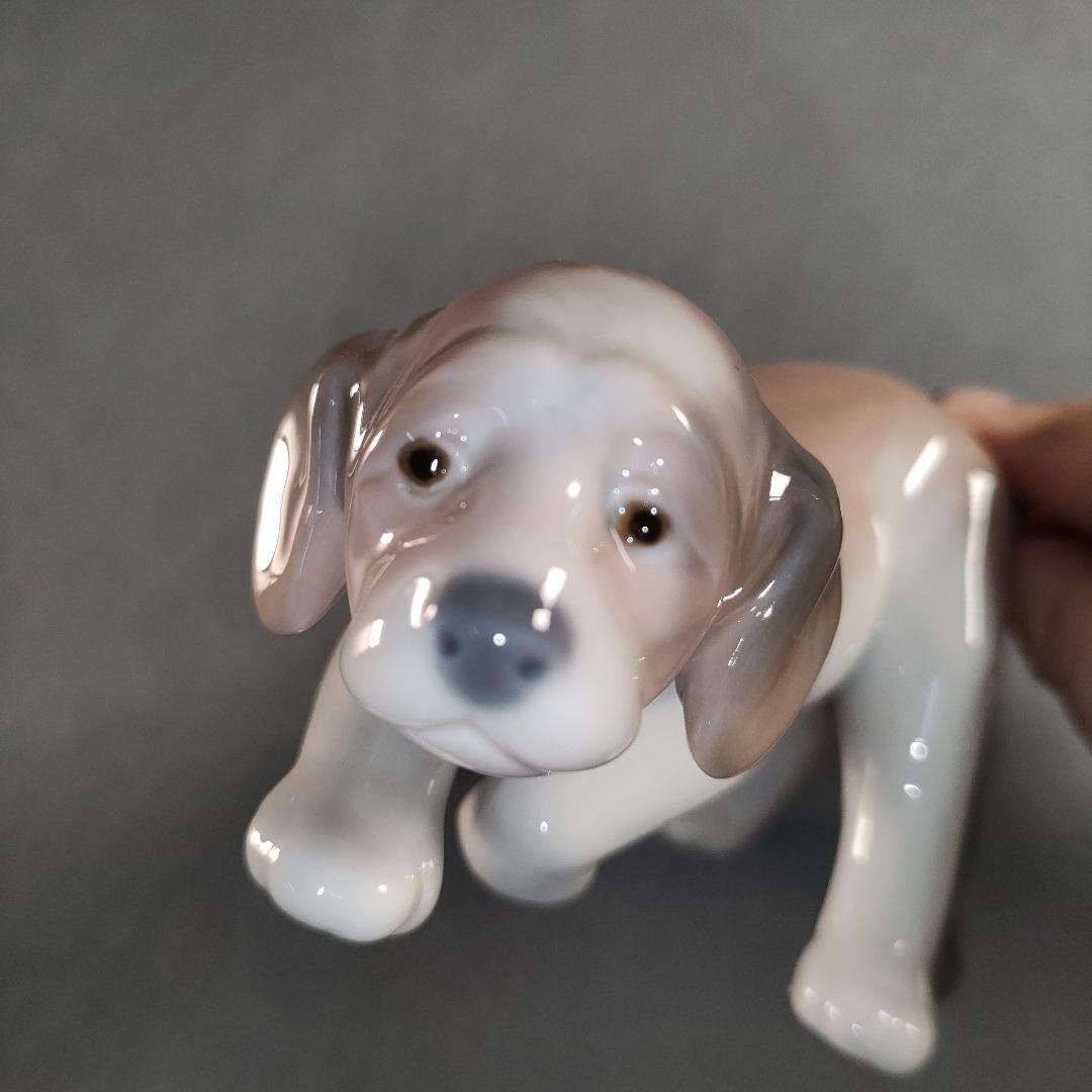 着ぐるみ 着ぐるみ ねこ おすわり ぬい服 12cm マスコット ちびぐるみ