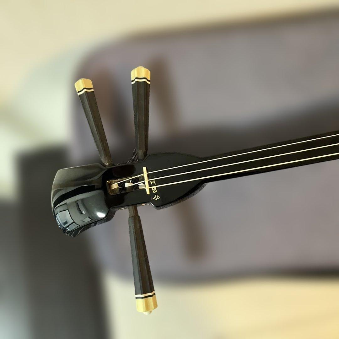 三線 沖縄三線 ほぼ未使用品 本革