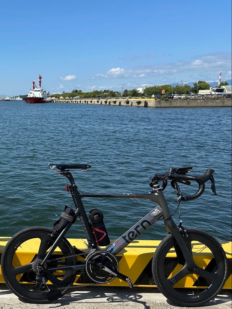 2023 tern surge pro 限定カラー tern surge pro 2023年限定カラー