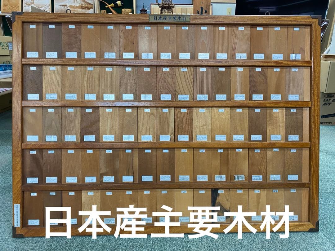 木材標本　3種【日本国産・外国産・熱帯産】 日本の木材需要・供給 - フェアウッド・パートナーズ - FAIRWOOD PARTNERS