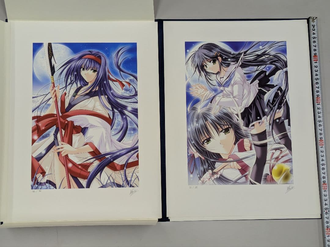 M&Iアート 山本和枝 IZUMO コレクターズエディション