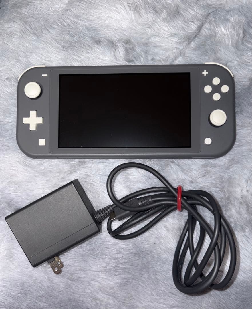 Nintendo Switch Lite グレー 本体 + ACアダプター - メルカリ