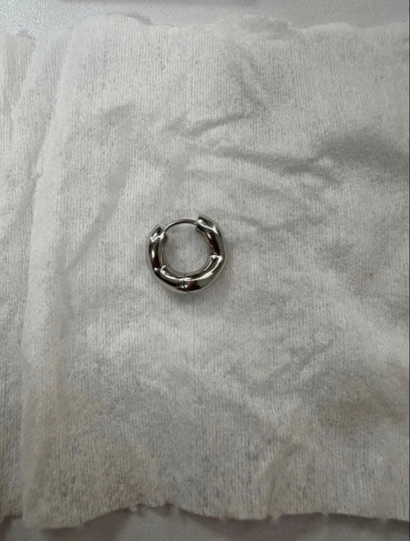 Charlotte Chesnais シャルロットシェネ ピアス 深水洸太 - メルカリ