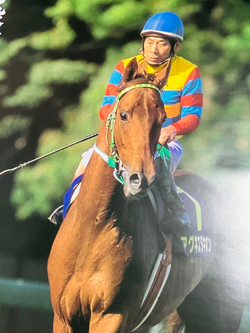 非売品】ナリタトップロードポスター 競馬 ヒーロー列伝 ウマ娘
