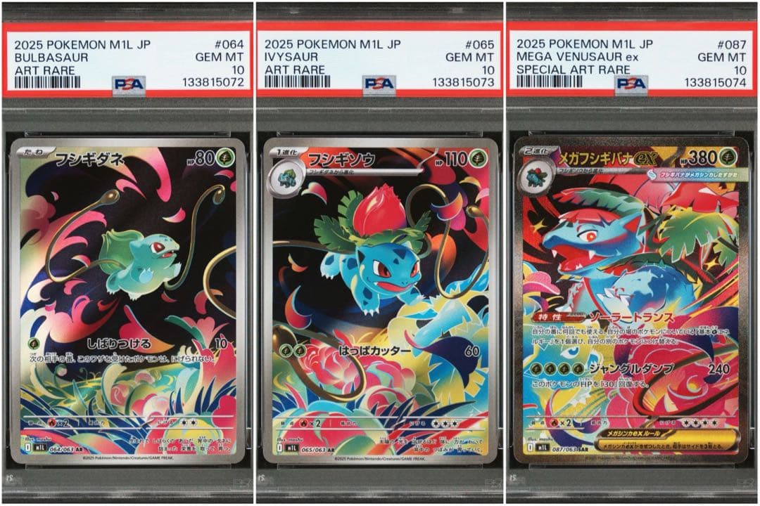 PSA10 3連番】メガフシギバナex SAR メガブレイブ 進化ライン