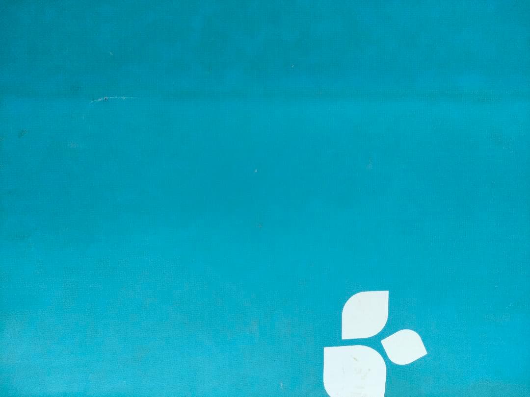 スリーウェザー フロウ ロングボード 9'2 - メルカリ