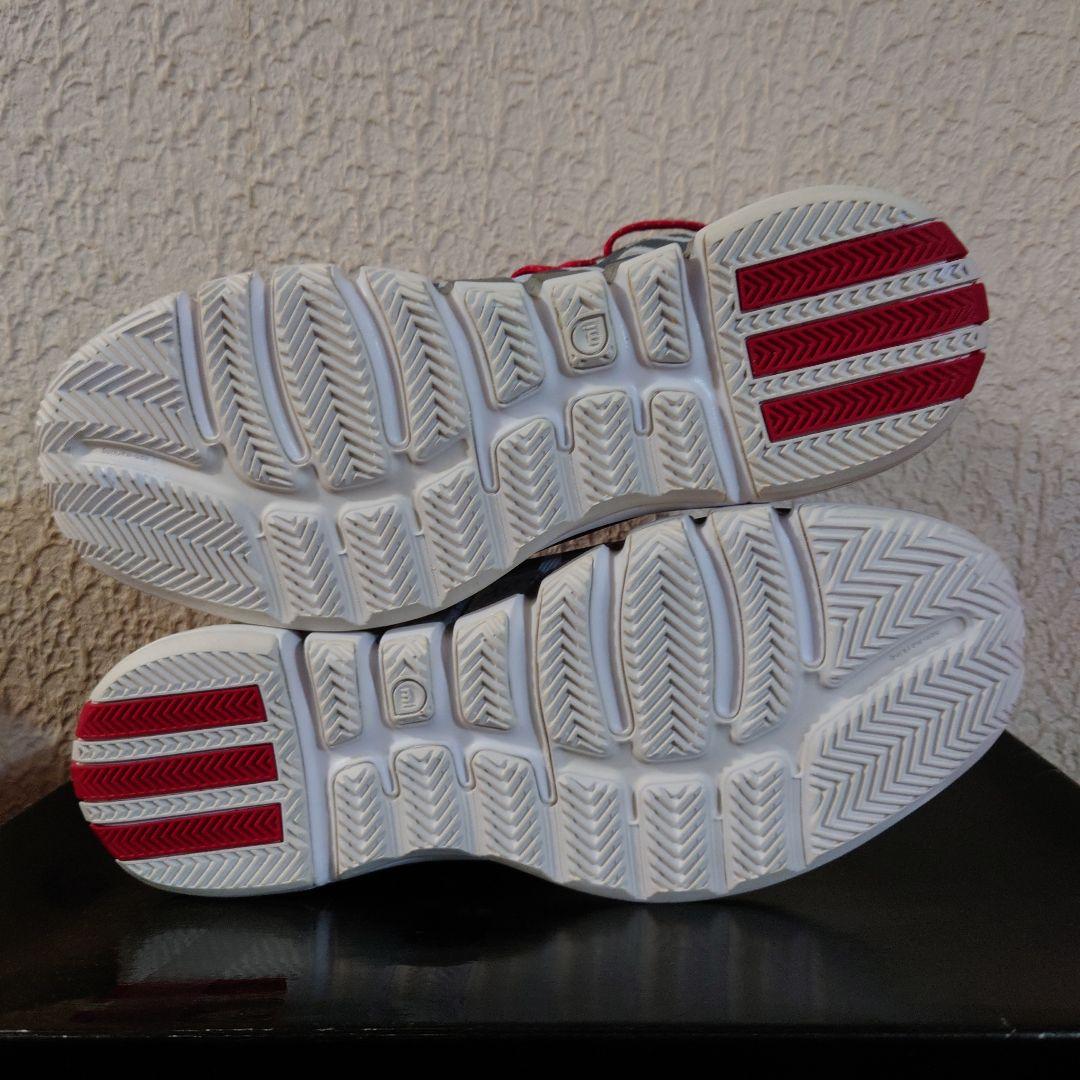 【新品未使用】D ROSE 4.5　28.5cm