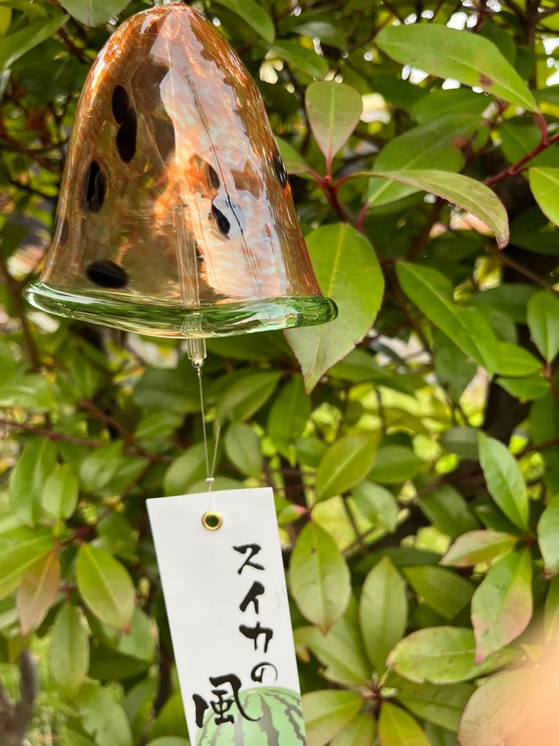 新品】タクグラス TAKU GLASS 弥彦クラフト スイカ風鈴