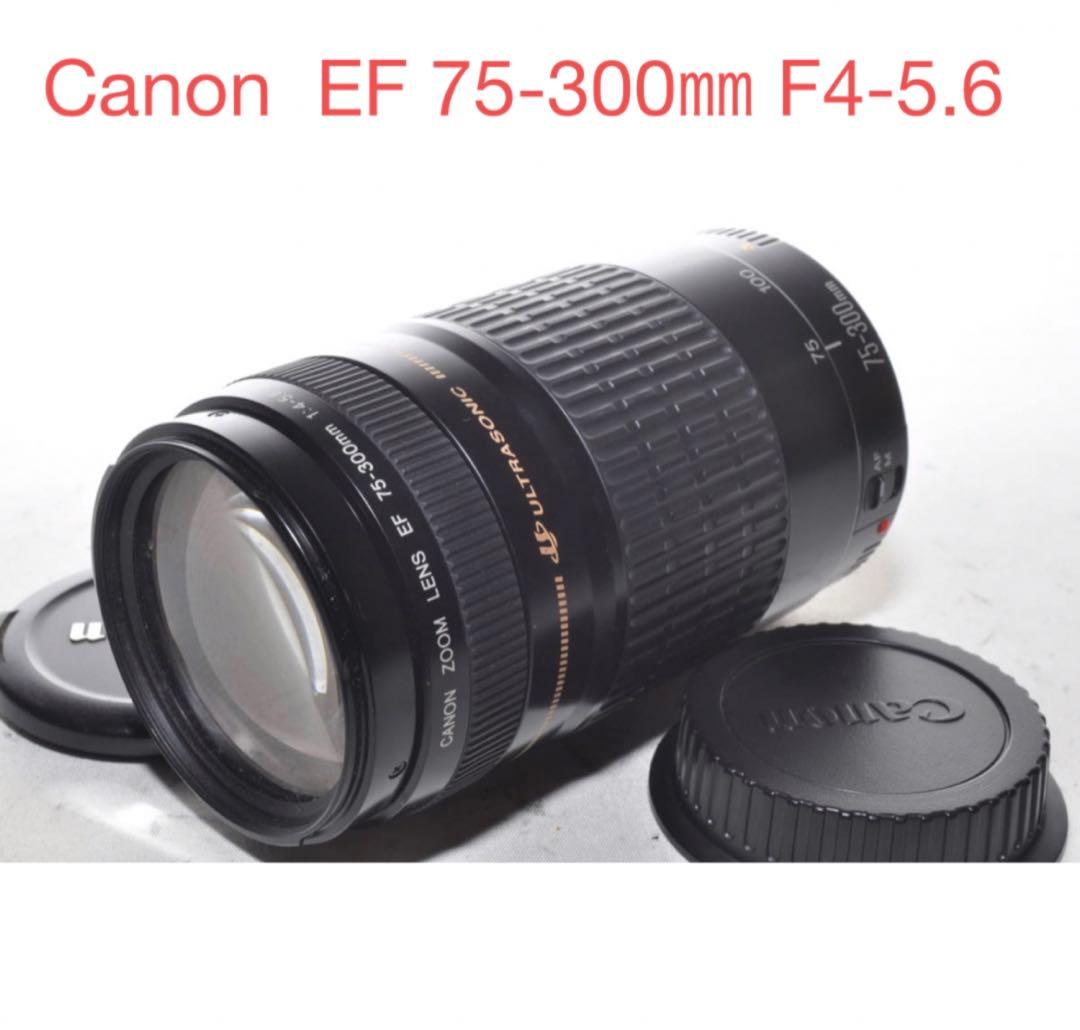 望遠レンズ/スポーツ/イベント等/Canon EF75-300㎜