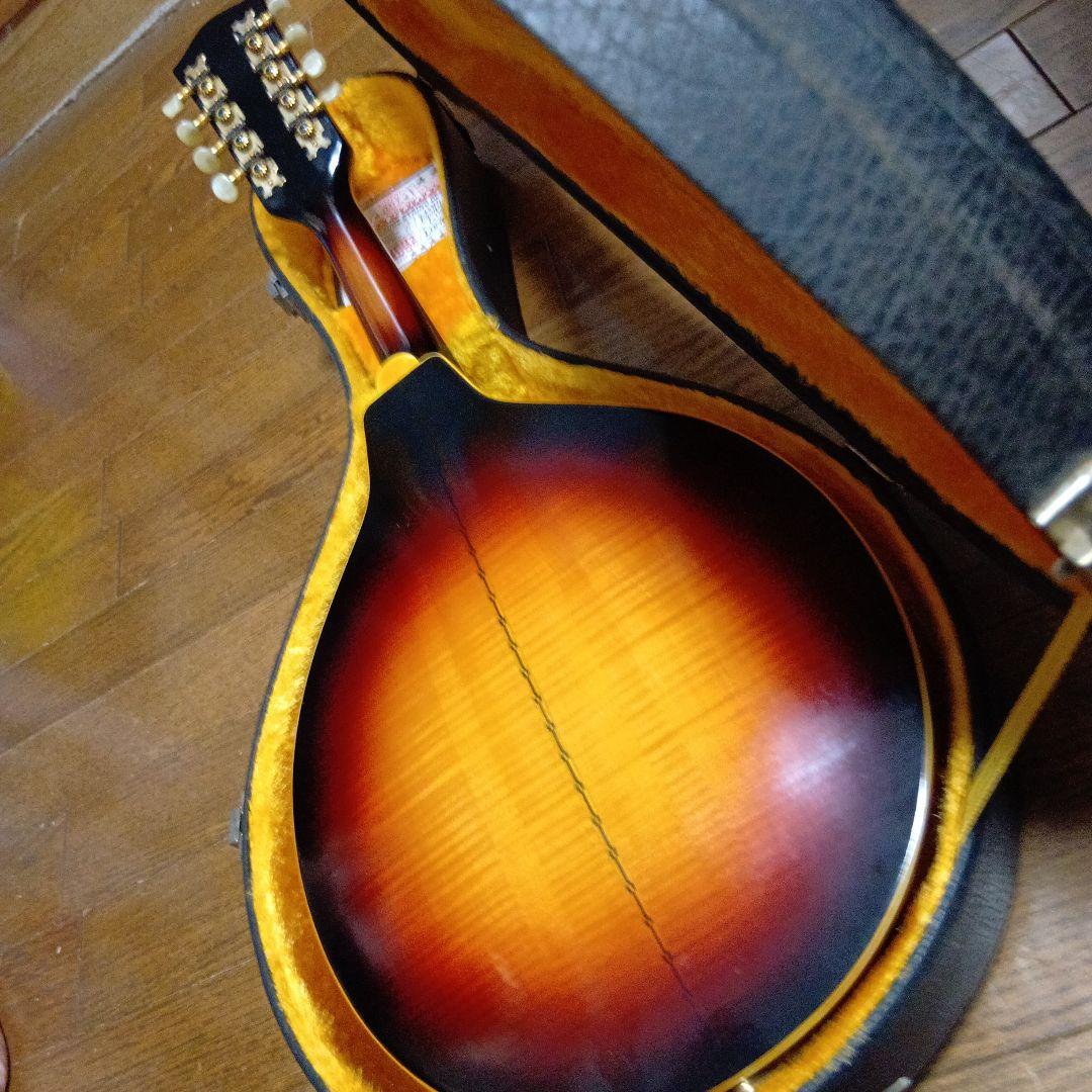 Raffaele 寺田楽器製 マンドリン RM-3 Calace、Vinaccia、当店展示中の