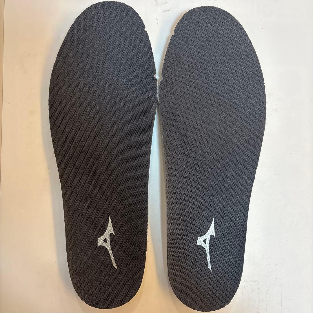 Mizuno 安全靴 オールマイティ LSⅡ22L WIDE 25.0cm