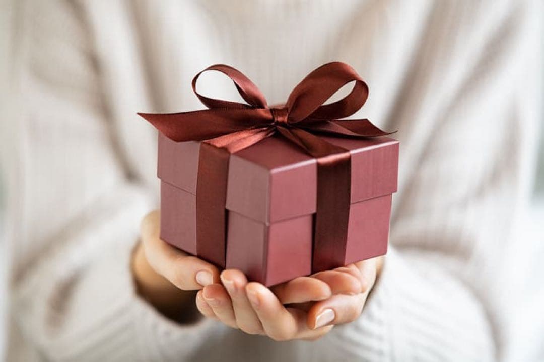 ニナファーム ヴィブラン ジェル プリュス ジェル状クリーム 2本