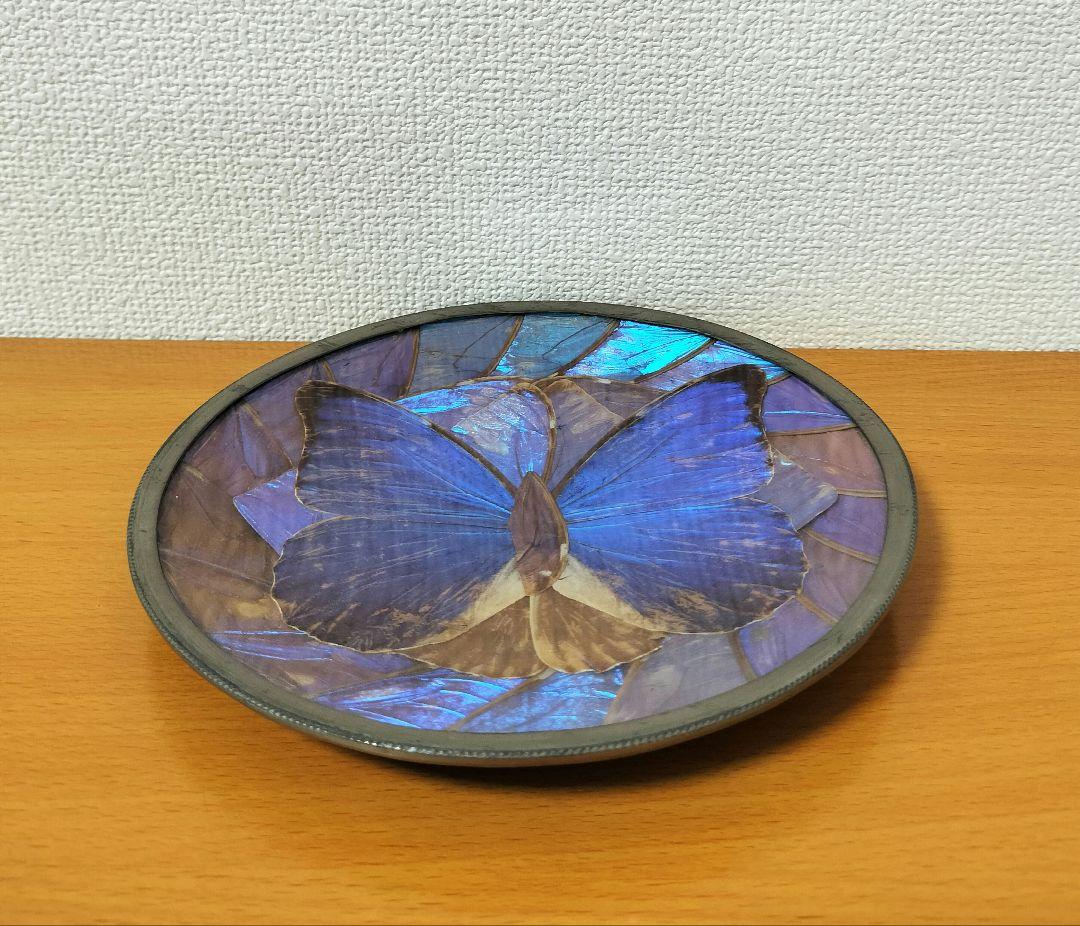 モルフォ蝶 バタフライウィング 壁掛け 飾り皿 プレート - メルカリ