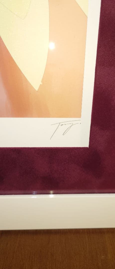 Tony氏版画 イノセントフェアリー アールビバン ミクスドメディア