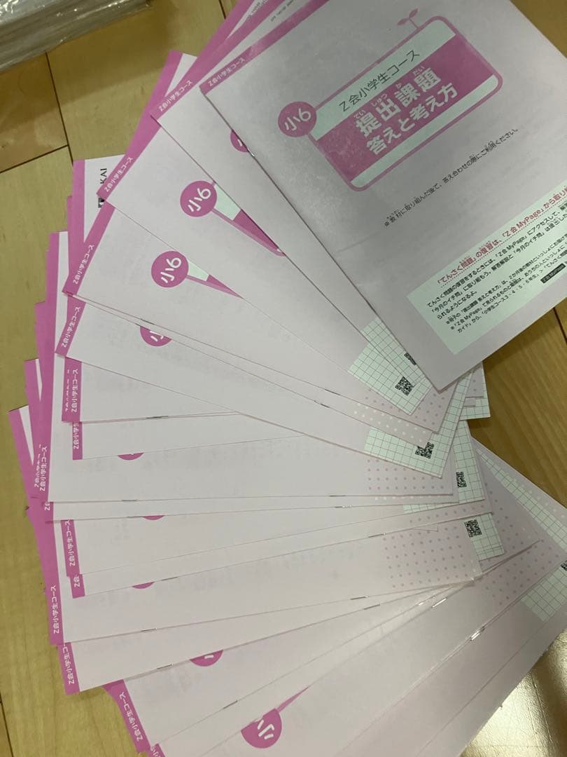 2024年Z会小学生コース 小6 中高一貫 エブリスタディ 小6 教材 公立