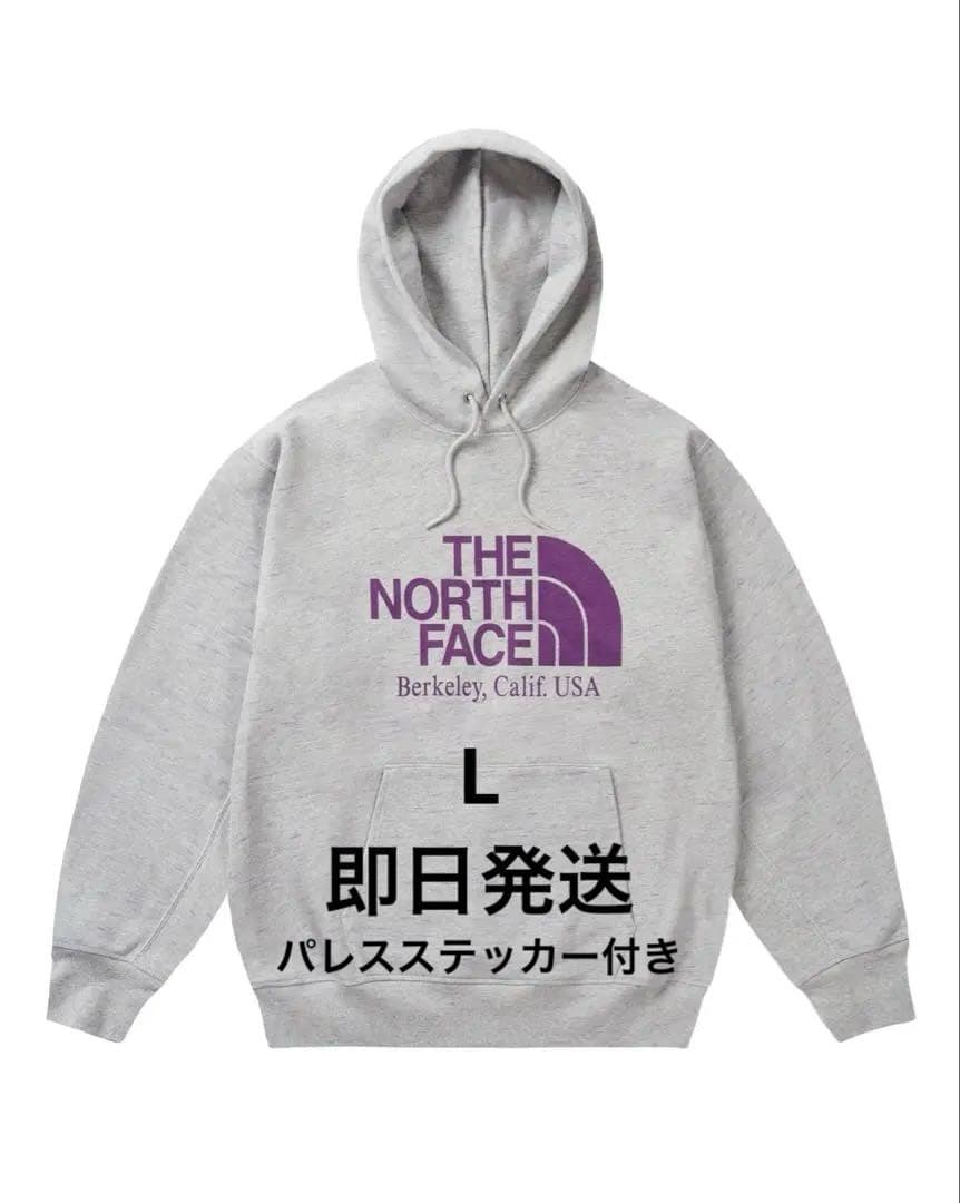 PALACE x The North Face 