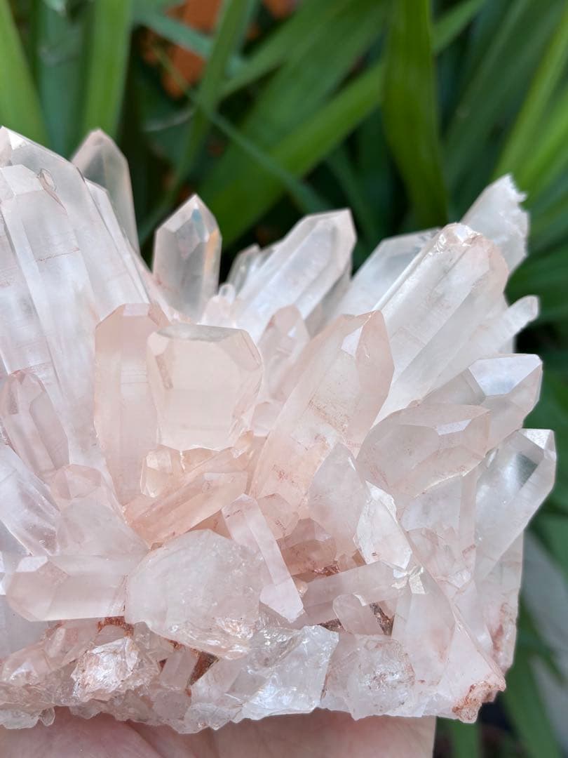 ピンク水晶クラスター　フラワークォーツ　花型　1.726g 豪華　美麗　天然石
