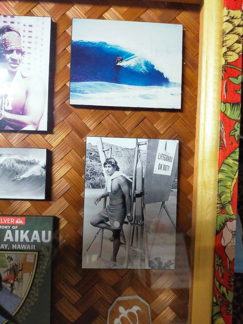 エディーアイカウ EDDIEAIKAU メモリアル額すべての要素が整っている