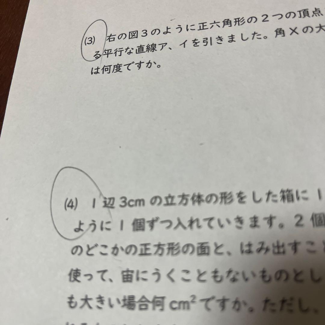 能開センター2024年度 小学6年実力判定模試 中学受験 解答&解説 - メルカリ