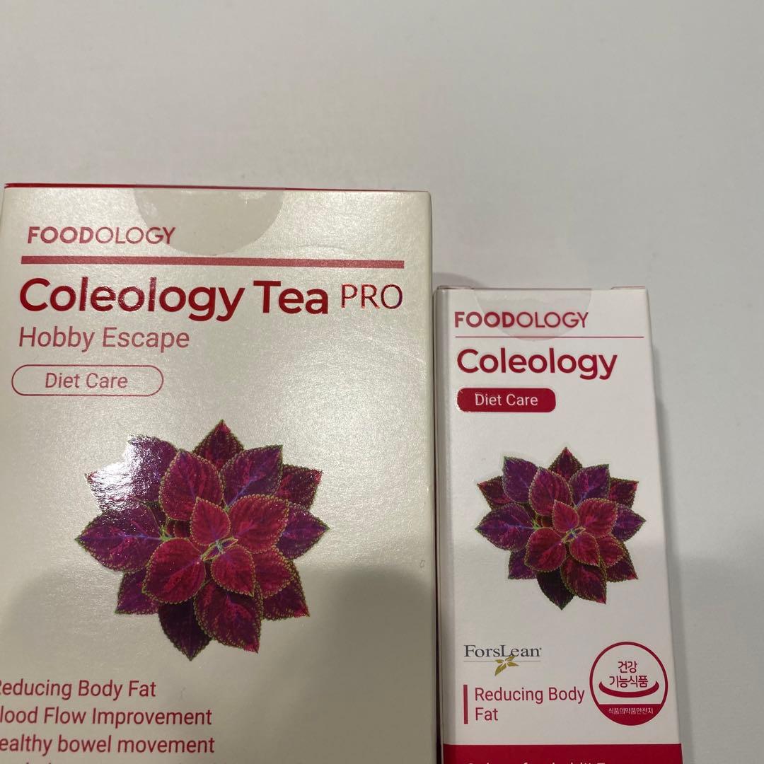 FOODOLOGY コレオロジーティーPRO コレオロジー錠剤 未開封