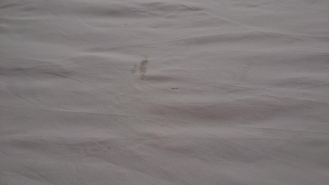 【手渡し限定】Coleman インスタントキャノピーレクタ/480　汚れ破れあり