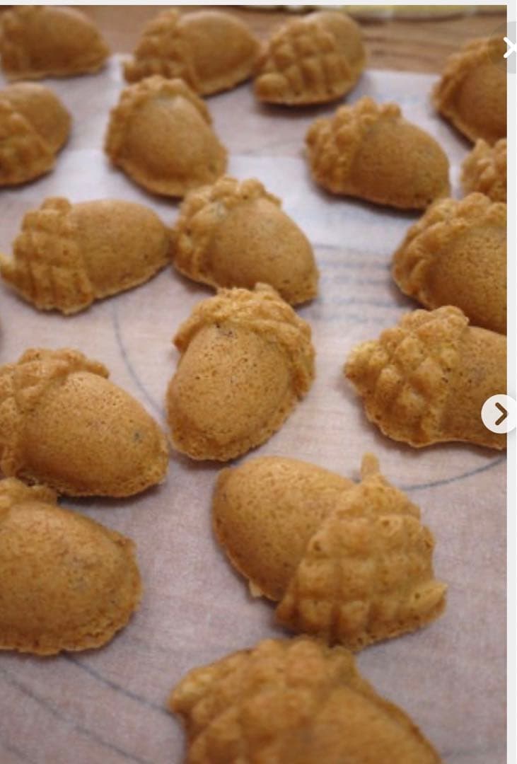 新品ノルディックウェア ACORN CAKELET PAN どんぐり型マドレーヌ