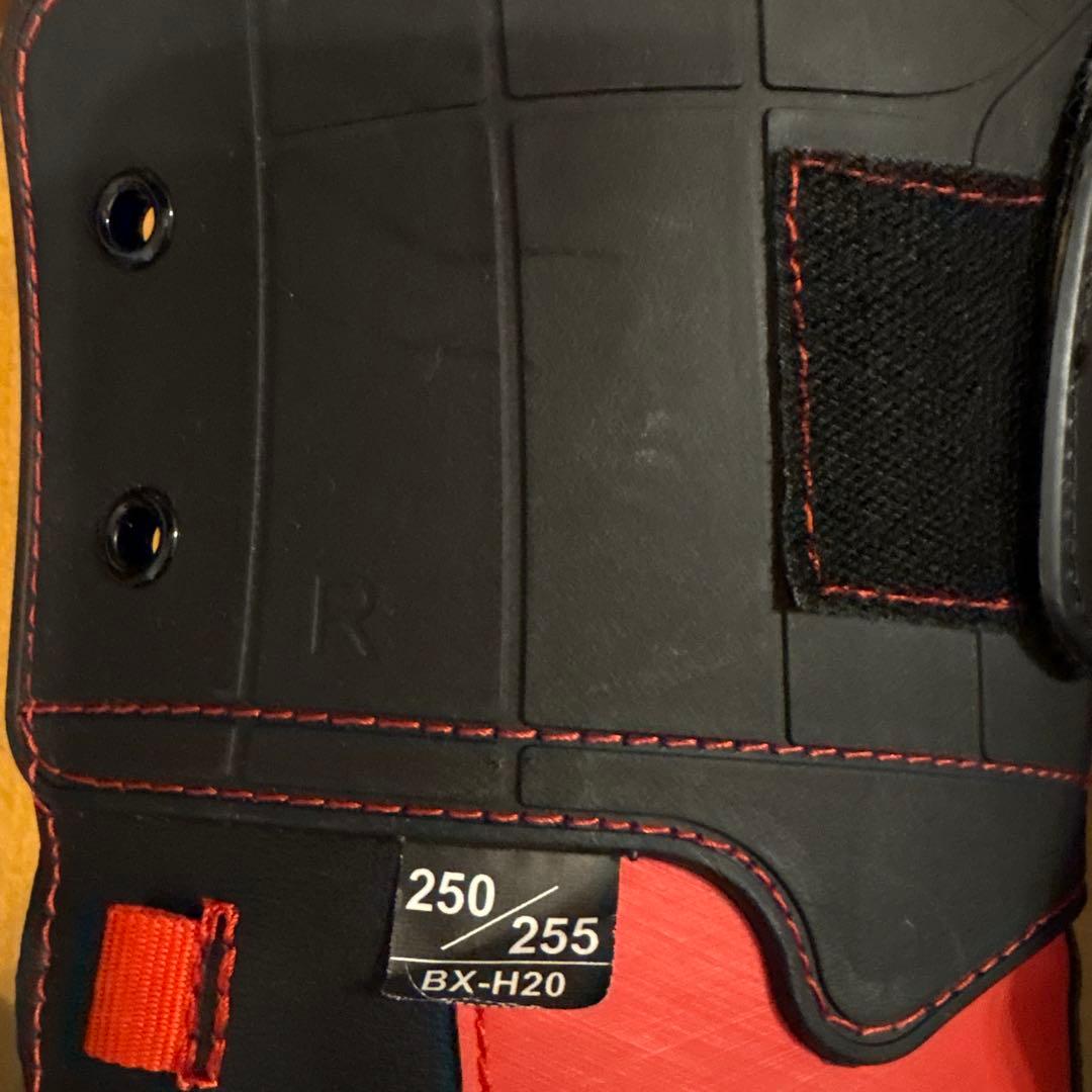 未使用】Rexxam REVO インナーブーツ 250-255 - スキーアウトレット