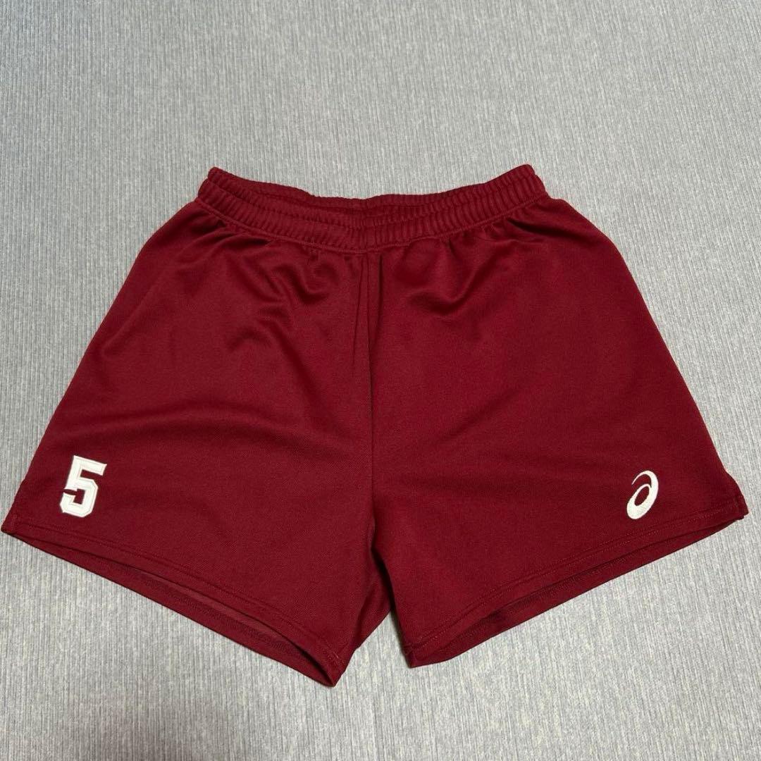 早稲田大学バレーボール部ゲームパンツ 楽天市場】デサント(DESCENTE) バレーボール ゲームパンツ(ウィメンズ