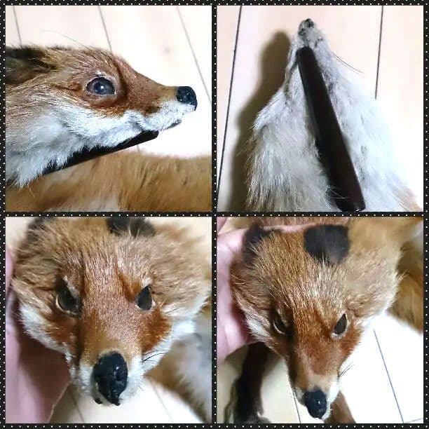 高級ヴィンテージ昭和レトロ【訳あり】狐の毛皮の襟巻きFoxティペット