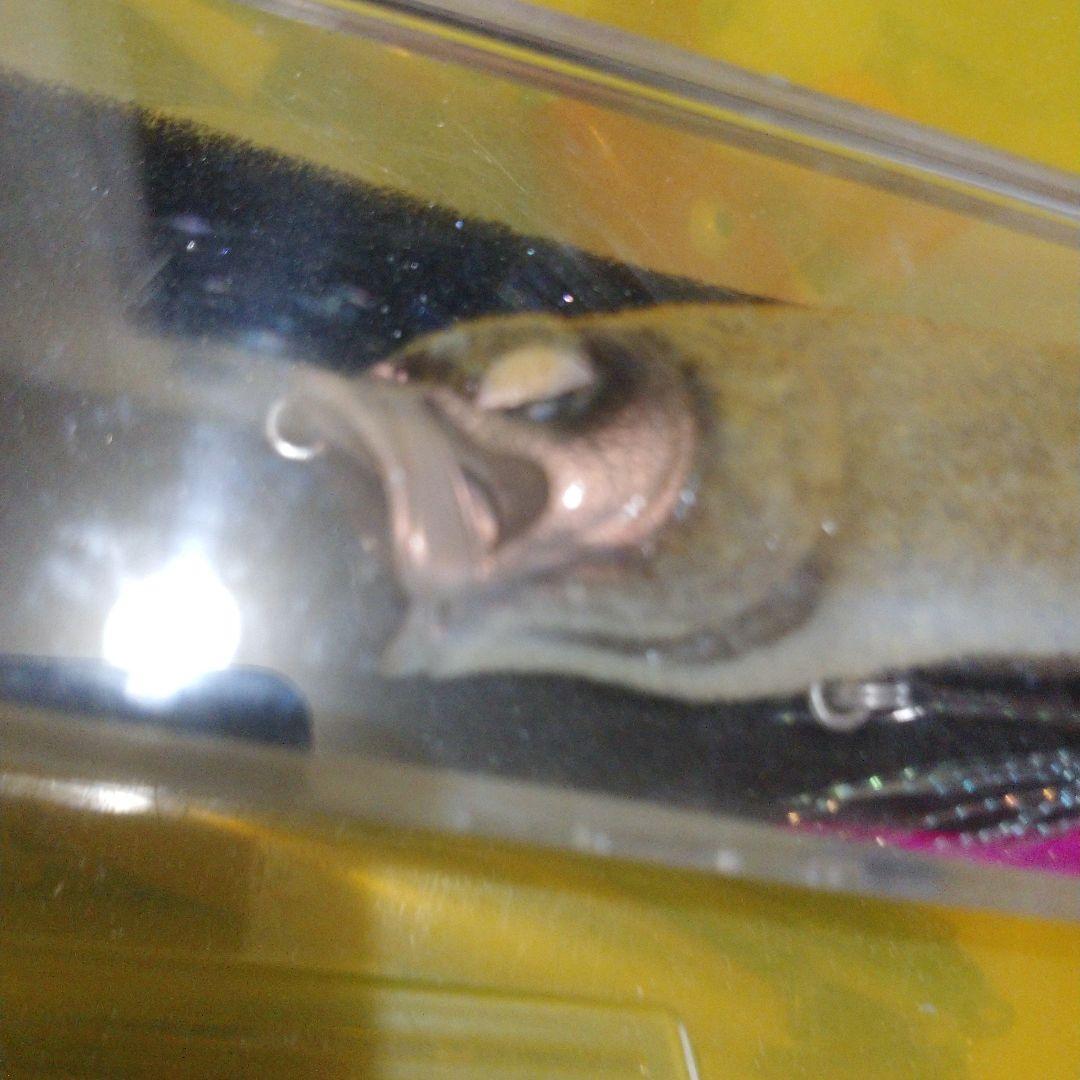 MEGABASS メガバス POPMAX 2004年干支限定 見申カラー - メルカリ