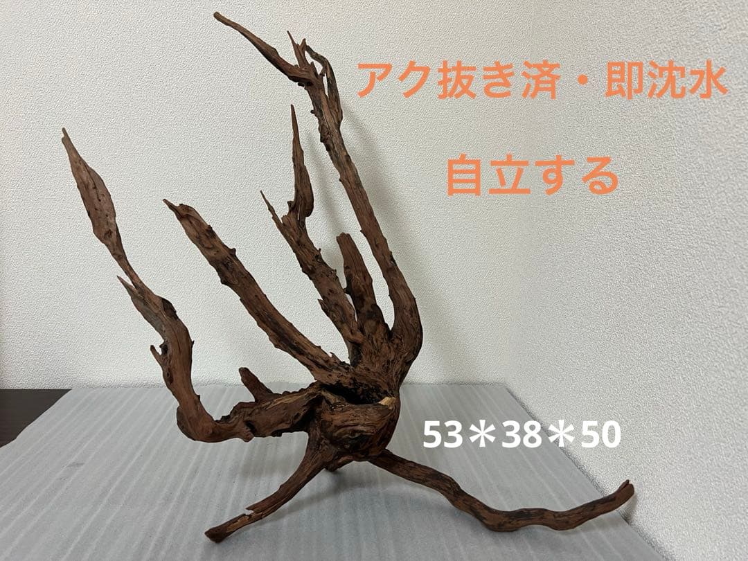 HX-083 流木 ホーンウッド マシンガンウッド アクアリウム ブランチ