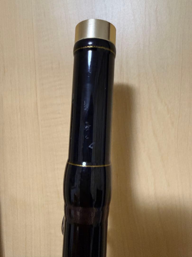 がま石　レギス3 くわせ520