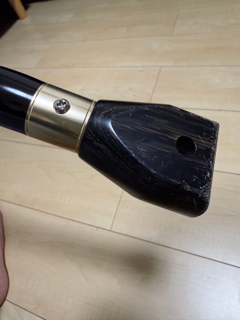 がま石　レギス3 くわせ520