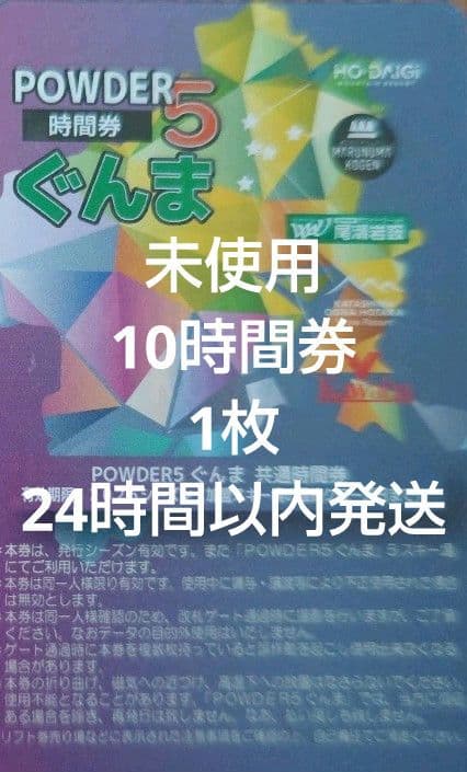 未使用品】POWDER5 ぐんま 共通時間券 10時間×2枚セット