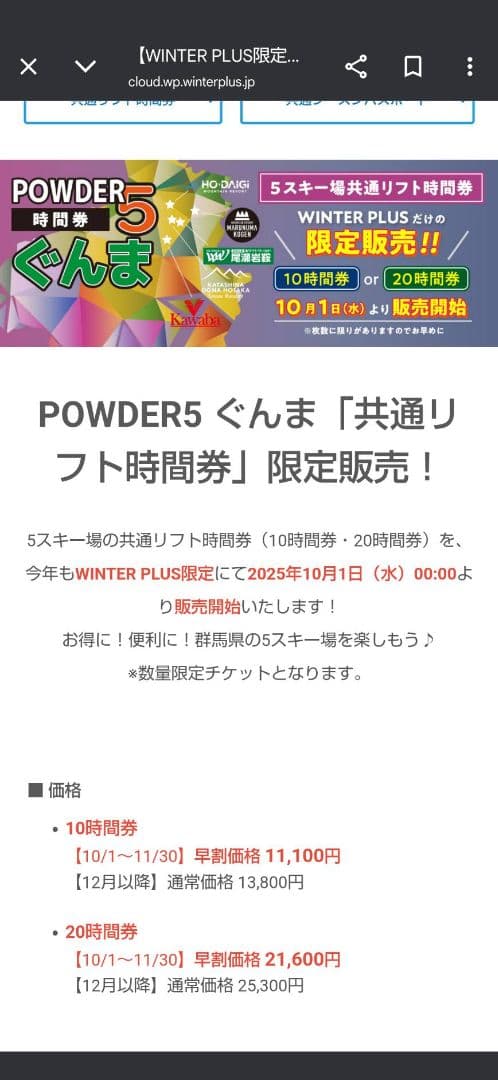 未使用品】POWDER5 ぐんま 共通時間券 10時間×2枚セット