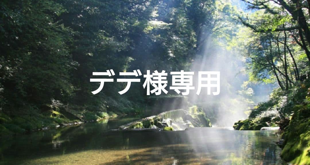 デデ✨特典付電磁波防止✨本物CMCペンダントUSA版　4本お値引き Amazon.co.jp: (株)CMC総合研究所 電磁波対策 電磁波カット 電磁波防止