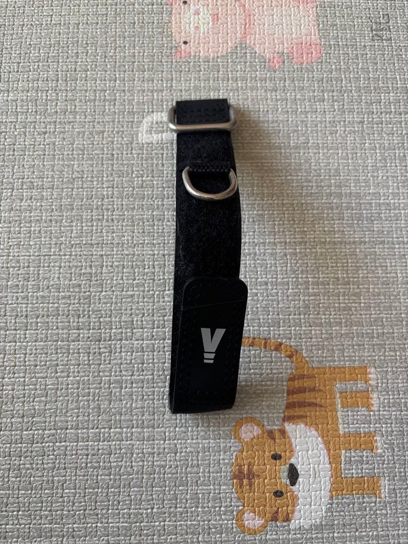 VITRUVE ジャンク品　値下げ交渉あり