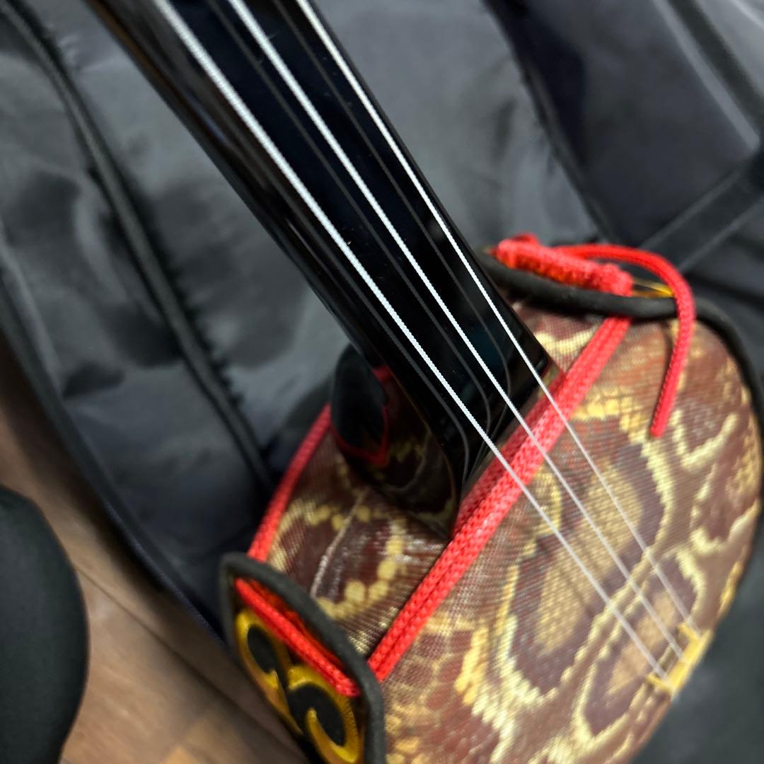 三線 沖縄三線 ケース付き ジャンク渡し