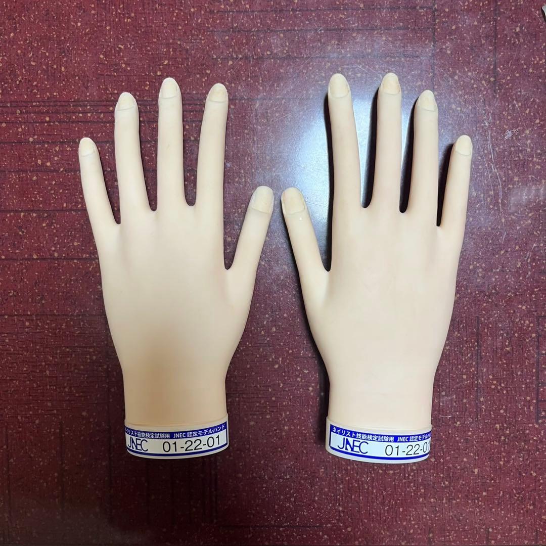 ネイリスト技能検定試験用 モデルハンド JNEC 認定モデルハンド - メルカリ