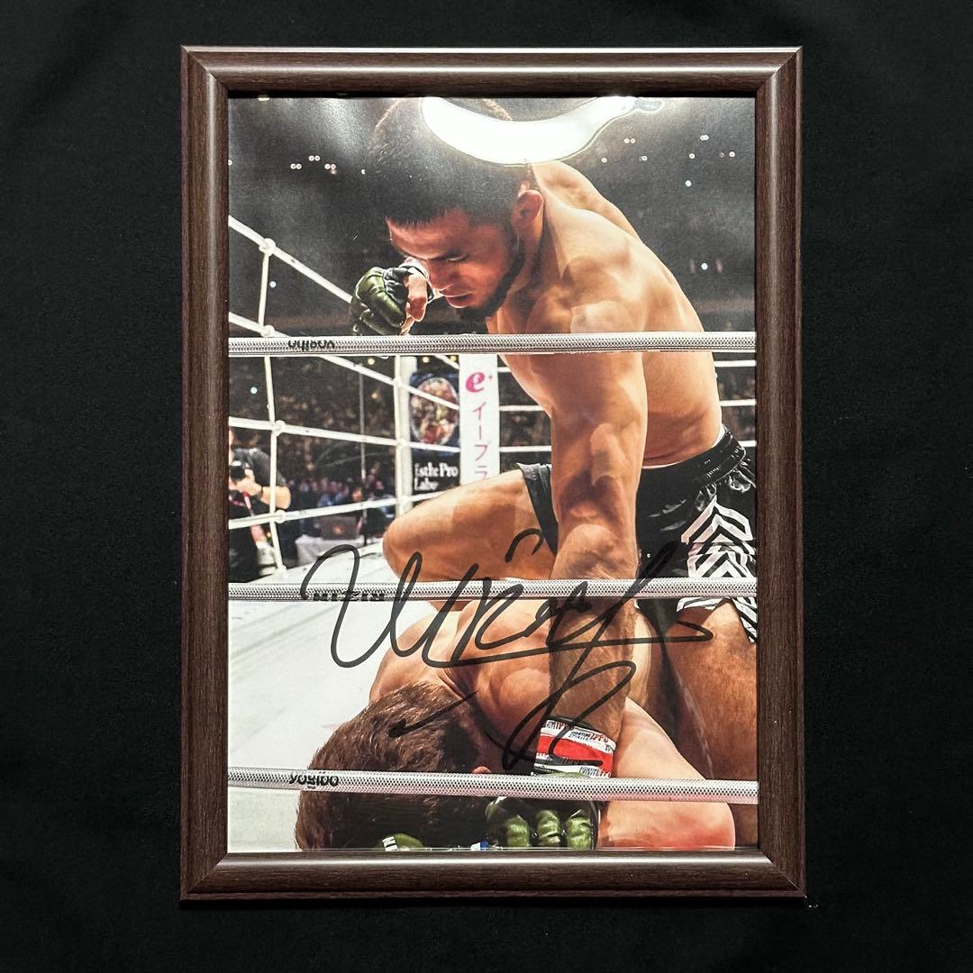 RIZIN シェイドゥラエフ 直筆サイン A4 フェザー級チャンピオン 朝倉
