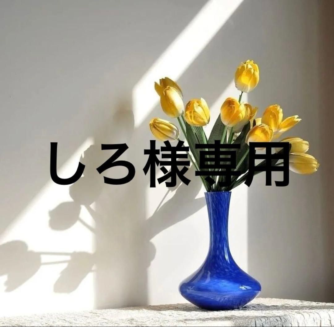 しろ　58 OUTLET】Roxy WILD FLOWER ZIP ウィメンズ ジップ付きラッシュガード